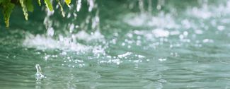 Nahaufnahme von grünen Blättern, von denen Wassertropfen in ein darunterliegendes Gewässer fallen und kleine Spritzer und Wellen erzeugen.