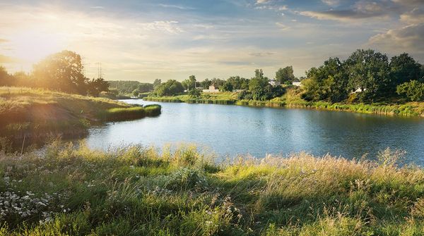 Panoramablick auf ein Gewässer umgeben von Grünflächen und Gebäuden im Hintergrund