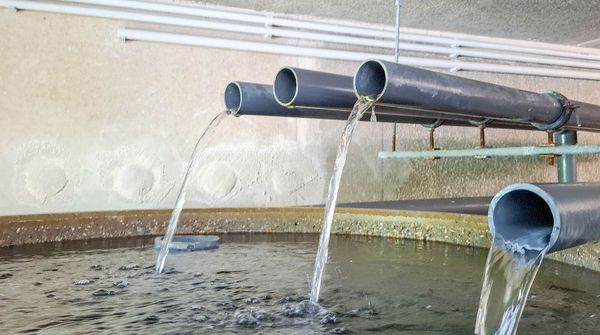Sammelbecken eines Wasserwerks mit Rohrleitungen zur Trinkwasserversorgung